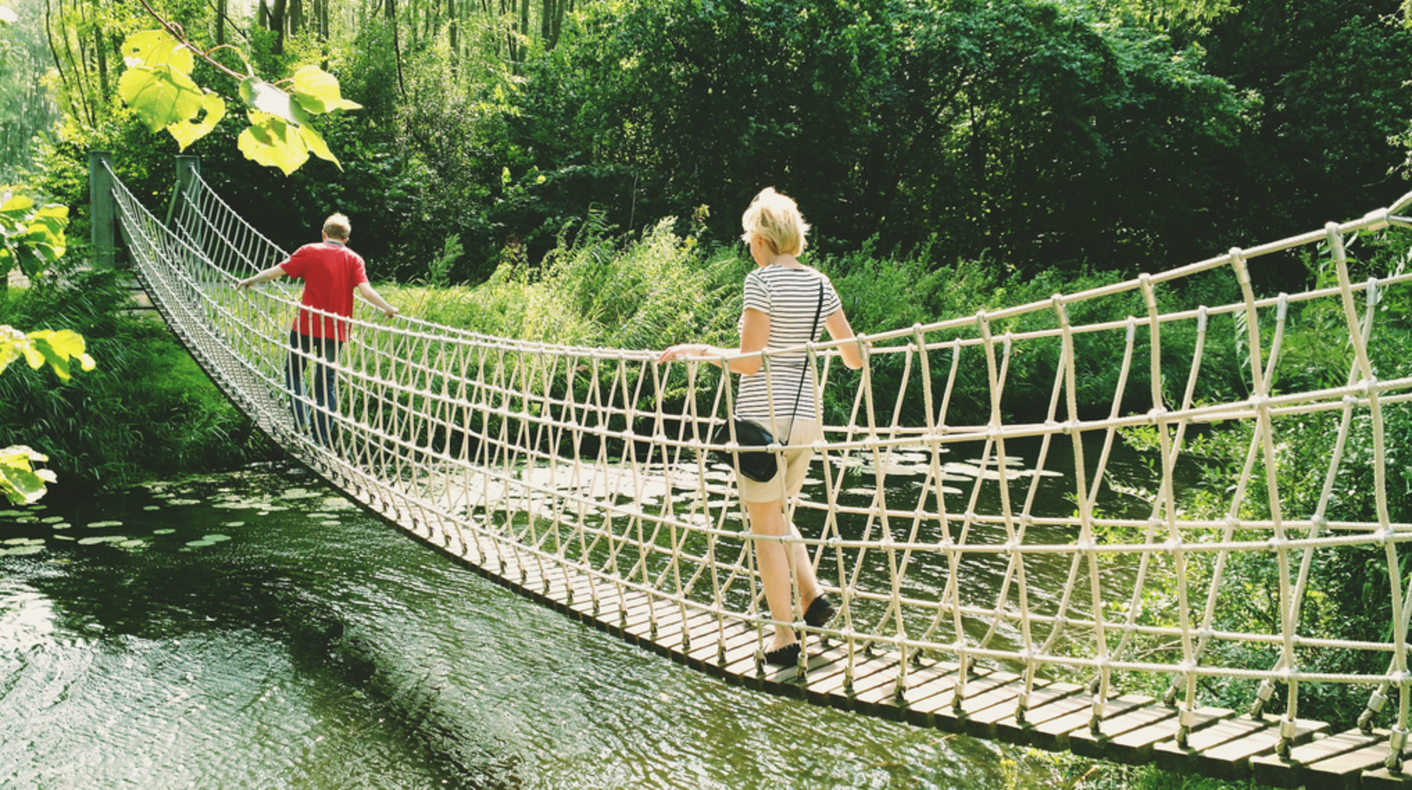 Wandelen in het Westerpark in Zoetermeer, verhuizen naar Zoetermeer,